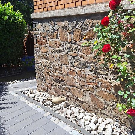 Appartement Reif&Buffi à Lahnstein Extérieur photo